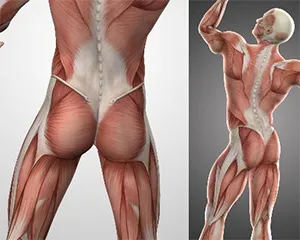 riabilitazione posturale